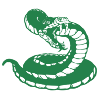 2-bank-statement_therealtpo